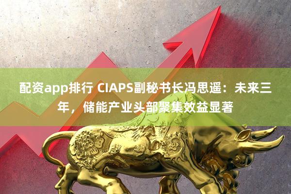 配资app排行 CIAPS副秘书长冯思遥：未来三年，储能产业头部聚集效益显著