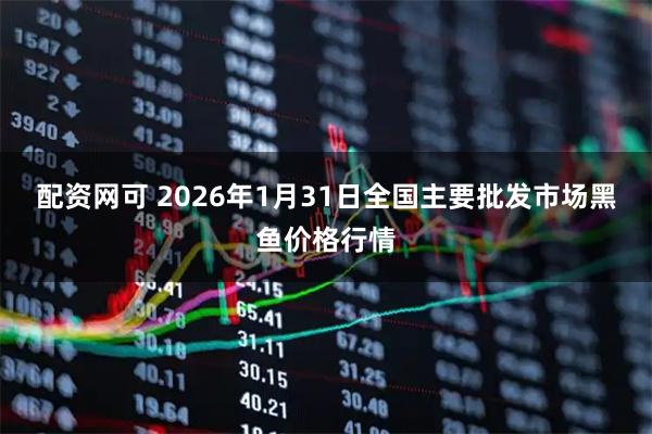 配资网可 2026年1月31日全国主要批发市场黑鱼价格行情