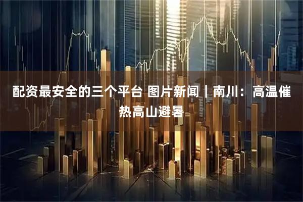 配资最安全的三个平台 图片新闻|南川:高温催热高山避暑